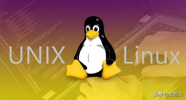 Unix和Linux操作系统有什么区别？