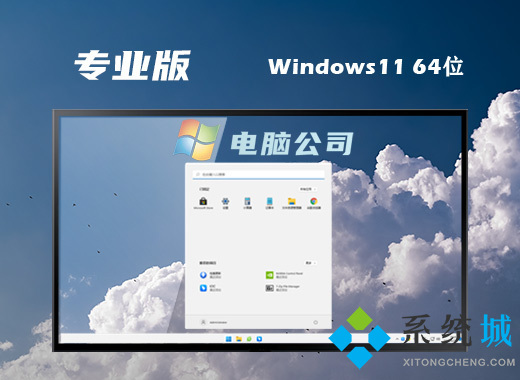 22H2 win11标准专业版系统下载 windows11 64位专业版镜像文件下载