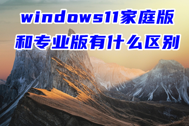 windows11家庭版和专业版有什么区别 win11家庭版要不要换成专业版