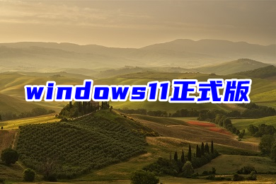 windows11正式版安装教程 win11系统64位免费镜像文件下载