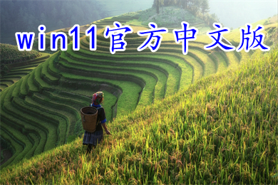 win11官方中文版下载 Windows11 Ghost 64位镜像系统下载