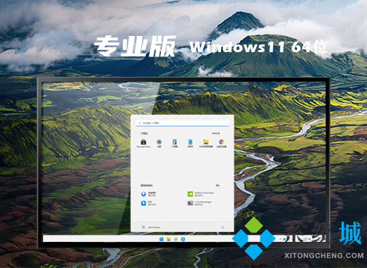 win11专业版系统下载安装 windows11中文专业版64位镜像下载安装教程