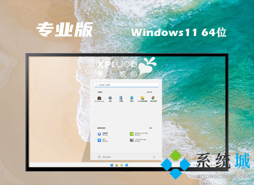 萝卜家园win11专业版系统下载 windows11精简一键重装系统下载