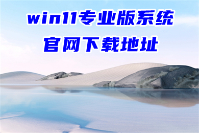 win11专业版系统官网下载地址 msdn win11 2022镜像下载