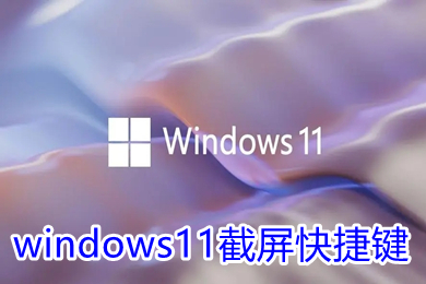 windows11截屏快捷键 windows11截屏快捷键失效没用了