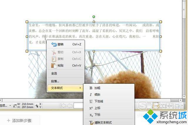 windowsxp系统下怎样更改PDF文档中的文字