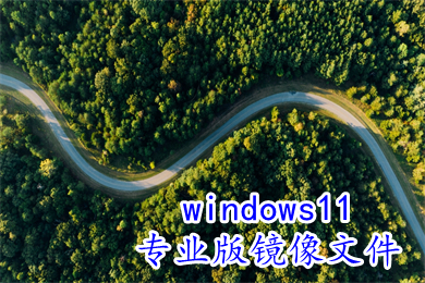 windows11专业版镜像文件下载官网 笔记本win11中文正版iso系统下载