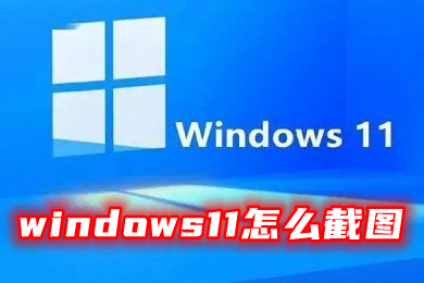 windows11怎么截图 windows11截图保存在哪