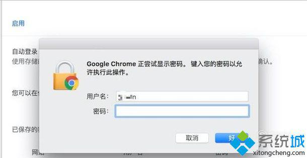 xp系统下使用Chrome浏览器找回已遗忘密码的方法