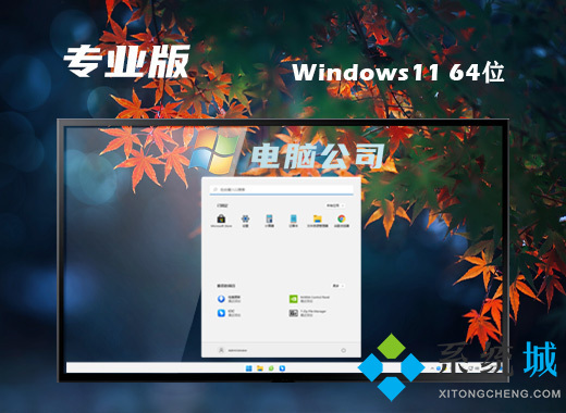 windows11专业版下载 微软官网win11专业版镜像下载地址