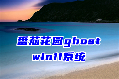 番茄花园ghost win11系统下载 windows11系统官方最新版下载