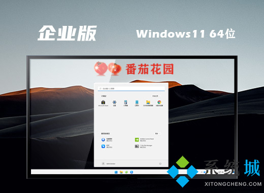 win11 ghost系统镜像下载 win11精简中文版系统下载