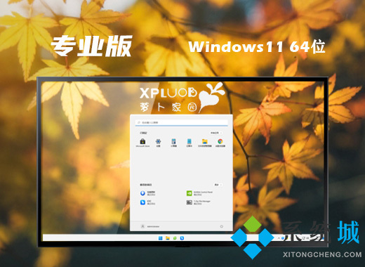 萝卜家园win11专业版系统下载 windows11精简一键重装系统下载