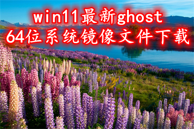 win11最新ghost64位系统镜像文件下载 win11纯净版系统镜像下载