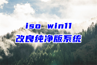 iso win11改良纯净版系统下载 win11微软官网系统64位镜像下载