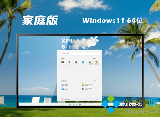 windows11家庭中文版系统下载 windows11家庭版原版镜像下载