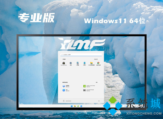 win11 64位极速专业版系统下载 windows11专业版系统免激活镜像下载