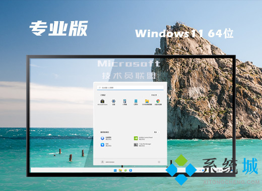 win11 64位极速专业版系统下载 windows11专业版系统免激活镜像下载