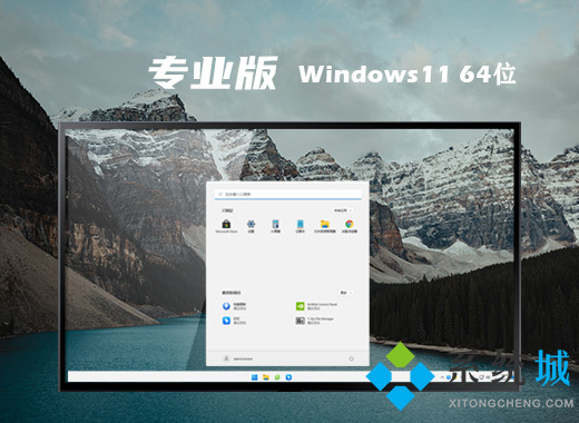 win11专业版系统下载安装 windows11中文专业版64位镜像下载安装教程