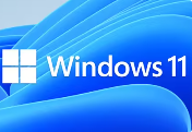 怎样精细化管理 Windows 11 的通知功能？