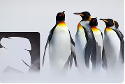 如何在 Linux 中安装新字体？