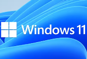 如何在 Windows 11 中创建来宾账户?
