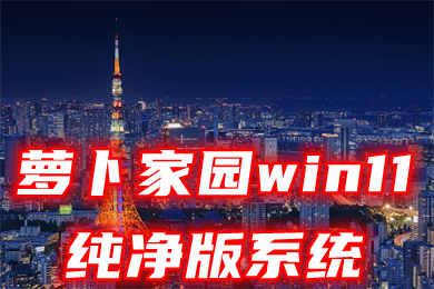 萝卜家园win11纯净版系统下载 win11中文精简版系统下载