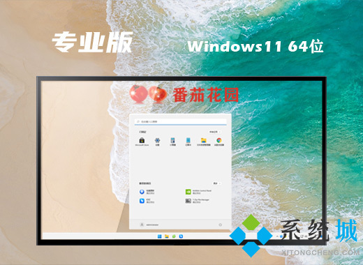 windows11专业版下载 微软官网win11专业版镜像下载地址
