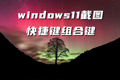 windows11截图快捷键组合键 windows11无法截图
