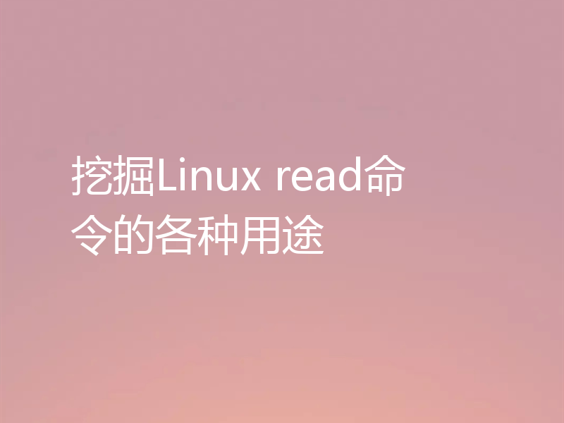 Linux read命令有什么不同用途？