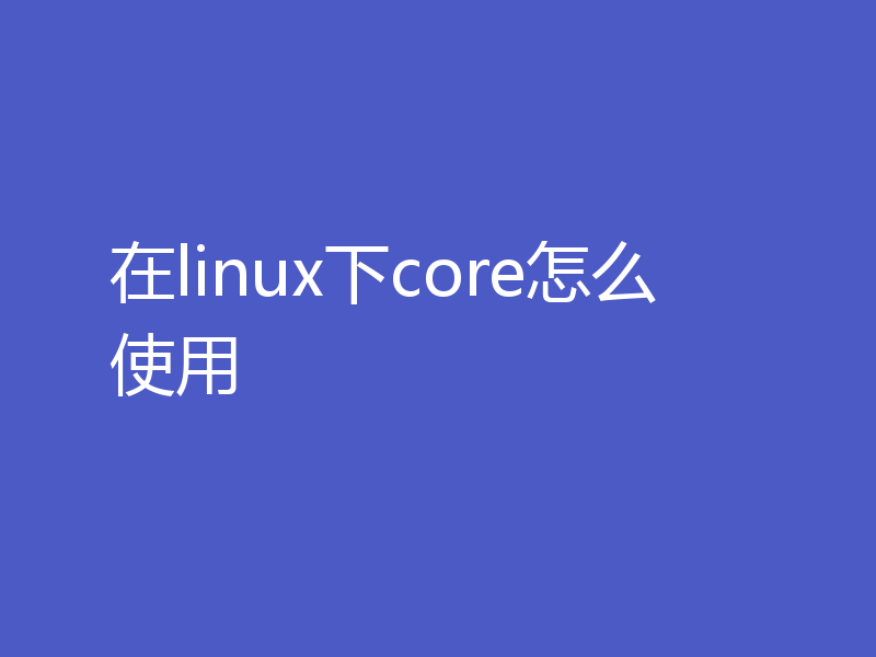 在linux下core怎么使用