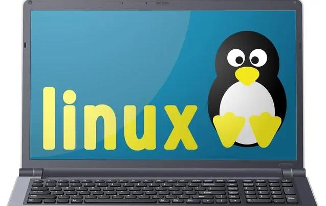 linux服务器版本怎么查看