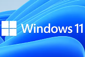 如何下载最新 Windows 11 开发环境虚拟机？