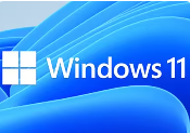 如何关闭 Windows 11 应用程序，或强制结束进程